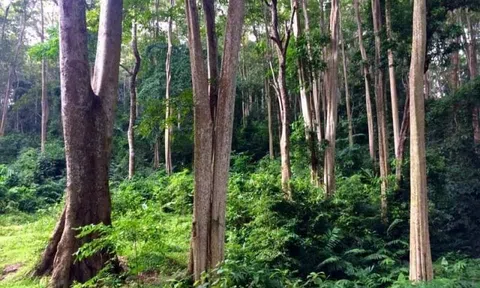 Chuyện kể của lính: Chữa bệnh bằng niềm tin