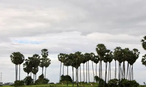 Nhớ lắm đêm không ngủ