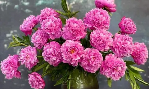 Chiếc đồng hồ vô giá của tôi