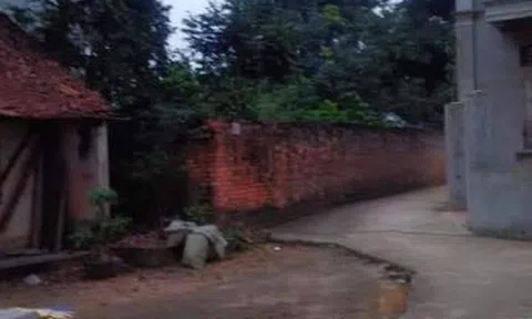 Ăn chực