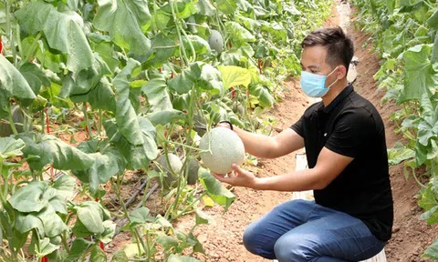 Vĩnh Phúc: Thúc đẩy tiêu thụ nông sản trên nền tảng số qua truy xuất nguồn gốc xuất xứ