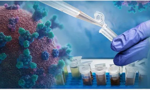 Nữ GS Việt tại Mỹ: Soi nước thải ra bệnh Covid-19 với độ nhạy chính xác tới 99%