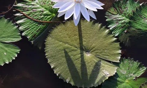 Nỗi sợ sau chiến tranh