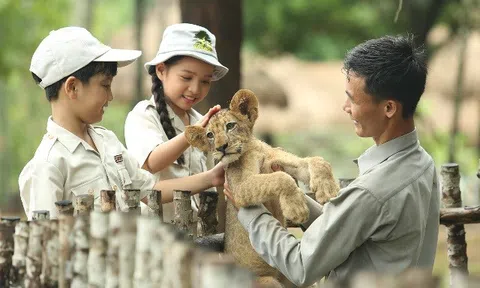 Trải nghiệm golf có “1-0-2” bên cánh rừng nguyên sinh Phú Quốc