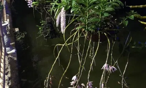 Chữa mẹo hóc xương