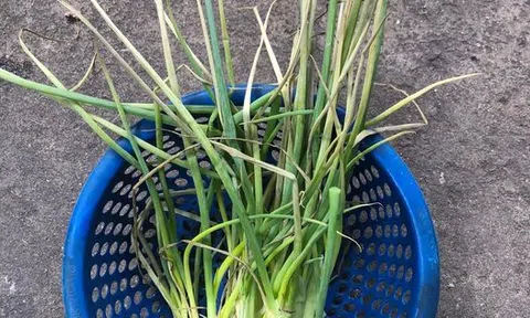 Khi đàn ông đi chợ