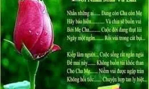 Hối tiếc