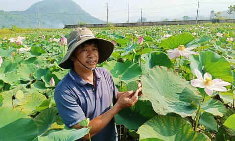 Hà Giang: “Chăm cây như chăm con” tại Trung tâm KHKT giống cây trồng Đạo Đức