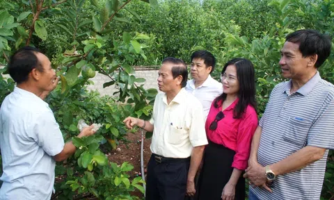 Hội thảo quốc tế: Phát huy bản sắc văn hoá dân tộc Thổ phục vụ phát triển - Kinh tế xã hội các huyện miền Tây Nghệ An