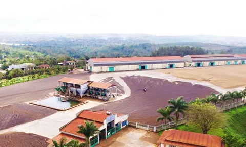 CADA đánh dấu trăm năm thành lập với tuyệt tác di sản cà phê Fine Robusta