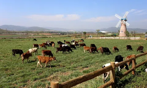 Cụm trang trại bò sữa Vinamilk Đà Lạt được vinh danh tại giải thưởng môi trường Việt Nam