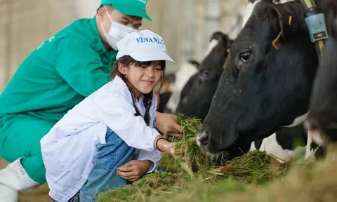 Vinamilk nhận giải thưởng top 50 doanh nghiệp phát triển bền vững 2022