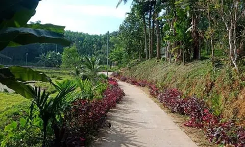 Tiên An đón xuân về