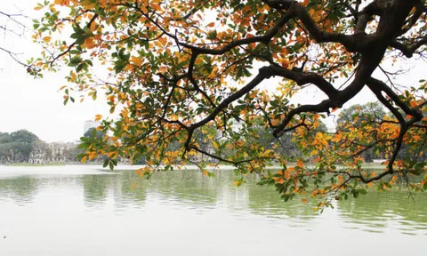 Tình bạn không tuổi