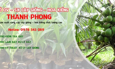 Thương hiệu Cây giống hoa kiểng Thanh Phong: Sản phẩm - Dịch vụ tin dùng năm 2022