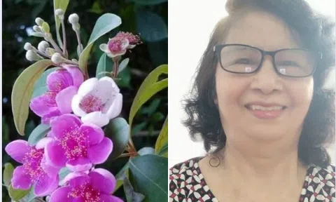 Bố chồng của tôi