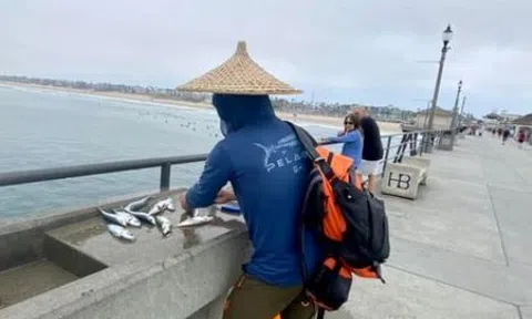 Vợ chồng ly dị vì giống Ninja