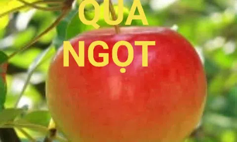 Thêm mùa trái ngọt
