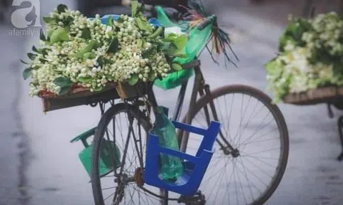 Tháng ba hương bưởi