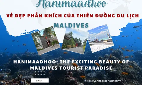 Hanimaadhoo: Vẻ đẹp phấn khích của thiên đường du lịch Maldives (Hanimaadhoo: The exciting beauty of Maldives tourist paradise)