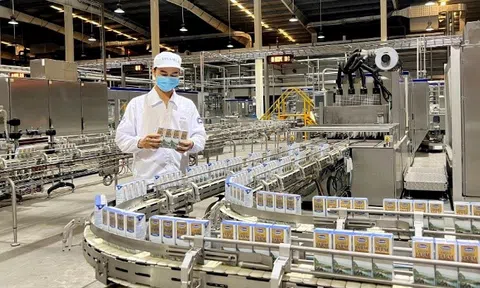 Tiêu dùng bền vững – Xu hướng cần được doanh nghiệp nắm bắt và thúc đẩy