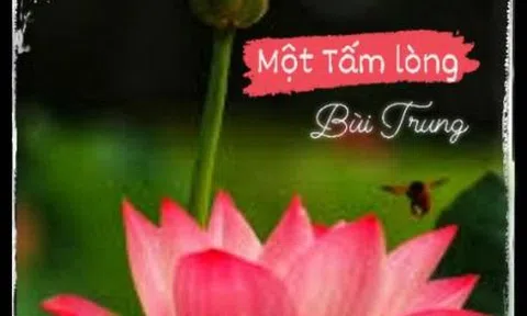 Một tấm lòng