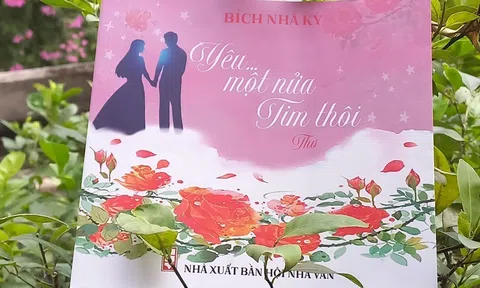 Bích Nhã Kỳ, thế chấp “nửa trái tim”