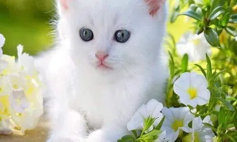 Dùng thuốc khi trẻ bị cảm lạnh, cảm cúm