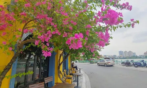 Lan man chuyện cái tên