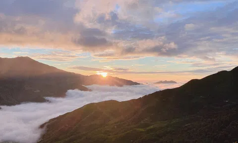 Mảnh ghép cuộc sống