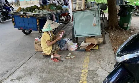 Tần tảo