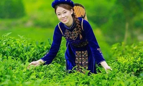 Hương chè xứ Thái