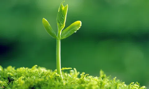 Lấy lại niềm tin