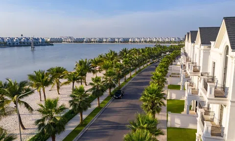 VMI JSC và Fantasy Home: Đầu tư nhà thấp tầng Vinhomes trong tầm tay nhà đầu tư nhỏ, lẻ