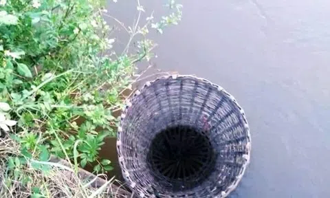 Đó lờ kể chuyện