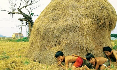 Ổ rơm của bà nội