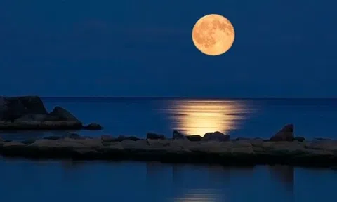 Đến với bài thơ hay “Lấp lánh vầng trăng trôi dạt dưới chân cầu”