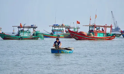 Thanh Hoá: Ngư dân xã Hải Hà bội thu mùa ruốc
