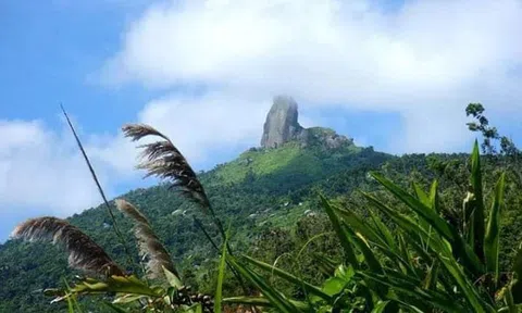 Trứng luộc