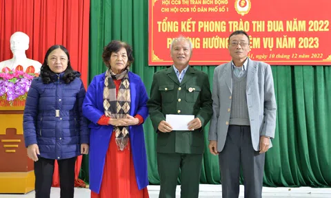 Bắc Giang: Chi hội CCB Tổ dân phố I thị trấn Bích Động (Việt Yên) góp sức xây dựng nông thôn mới, Tổ dân phố kiều mẫu