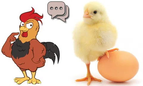 Giải mã bí ẩn mối liên hệ giữa con gà và quả trứng gà