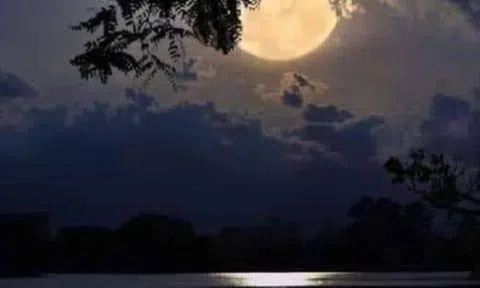 Có một đêm trăng