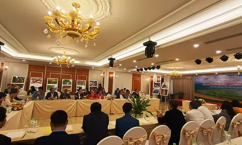 Vĩnh Phúc: Liên kết xúc tiến quảng bá du lịch với các tỉnh đồng bằng sông Hồng và phụ cận