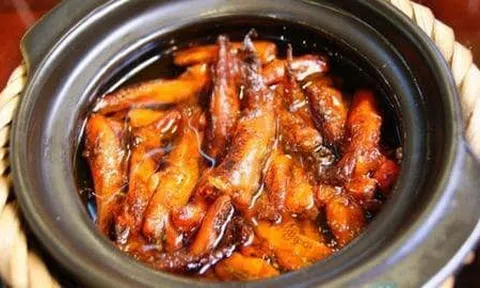 Câu cá Bớp sông