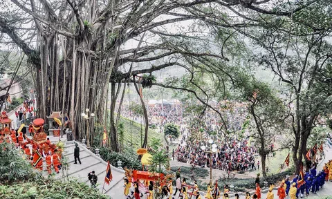 Xây dựng môi trường văn hoá phát triển bền vững ở Việt Nam