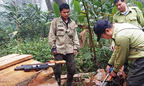 Hà Giang: Bắt quả tang đối tượng phá rừng đặc dụng