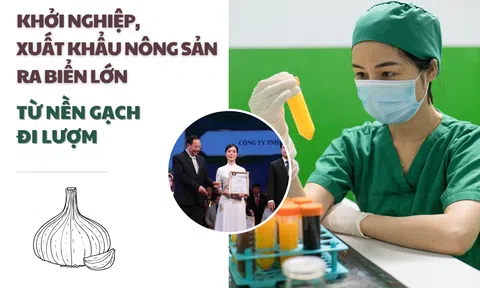 Khởi nghiệp, xuất khẩu nông sản ra biển lớn từ nền gạch đi lượm