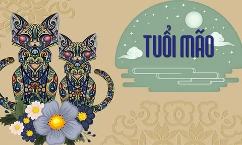 Ý nghĩa của Mèo trong mười hai con giáp và vì sao Mèo bắt Chuột