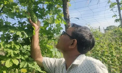 Cận tết, hết date và cái lý, cái tình cùng cái tâm