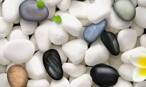 Quý tử và nghịch tử